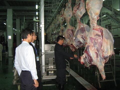 Beef Split Meat Production Line / Processing Line 100-300 Cattle Per Hour Speed