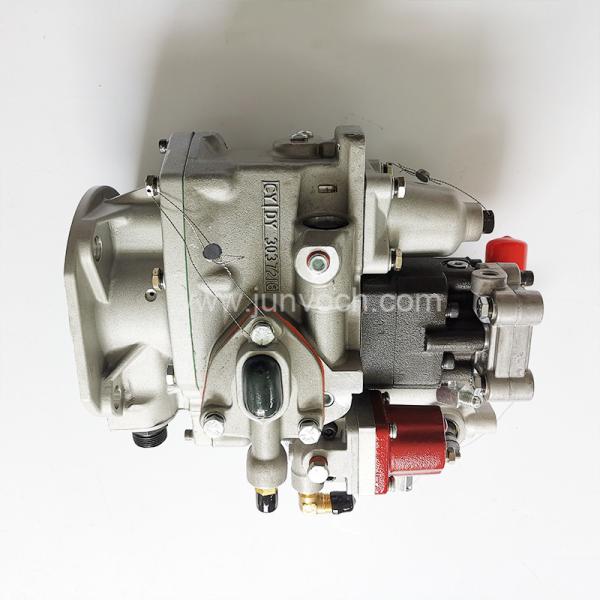 Cummins NT855 QSN14 M11 Diesel Engine Fuel Injection Pump 3095556