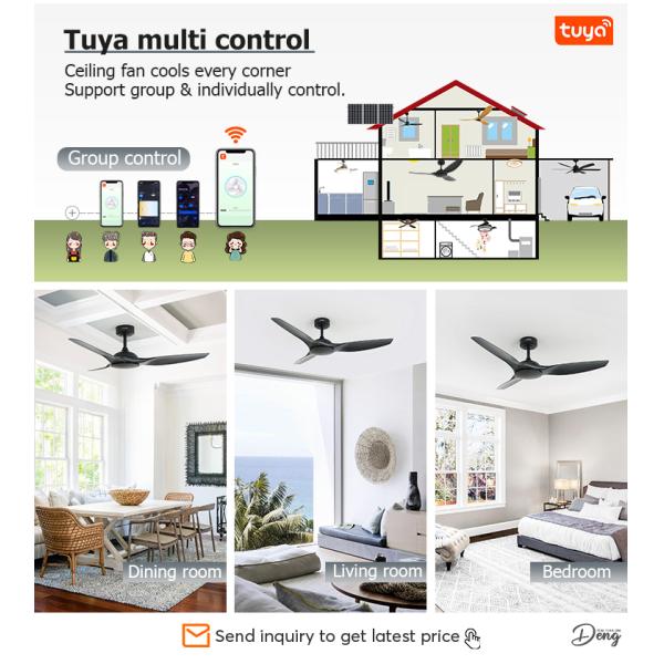 Design simples 6 velocidade controle remoto Ventilador de teto preto sem luz 1stshine OEM