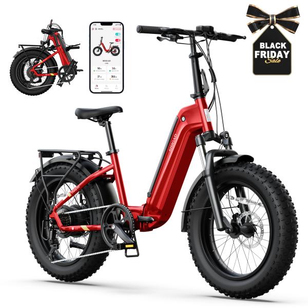 F008 48V 20 Foldable Fat Tire E-bike with Fashion Desgin 250W