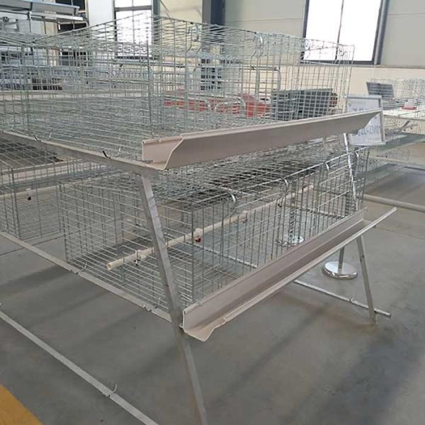 0.75kw 4 Tier 2 Doors Broiler Cage System , U Shape Battery Cage For Broilers