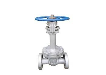 Manual Single Wedge Stainless Steel Butterfly Valve DN10-DN50