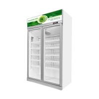 Commercial Double Door Economy Refrigerated Beverage Display Freezer