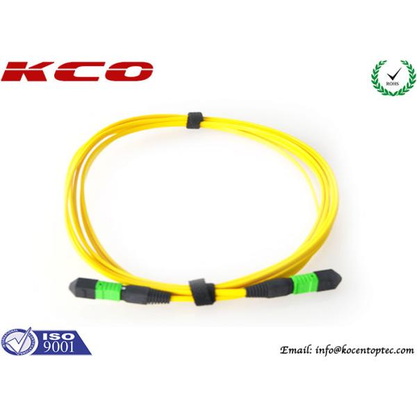 LAN WAN MPO MTPブレイクアウト ケーブル繊維の単一モード9/125の12の中心24の中心