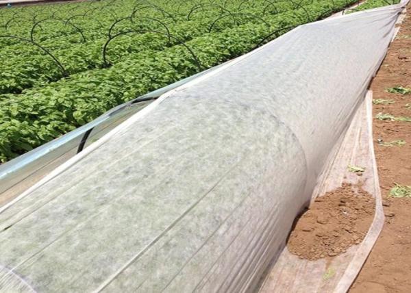 Anti UV PP Nonwoven Fabric For Weed Control / Covering Landscape Custom Weight