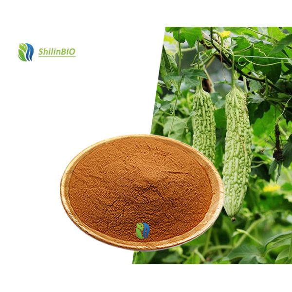 Poudre de peptide de melon amer de qualité alimentaire - Poudre de peptide à petites molécules