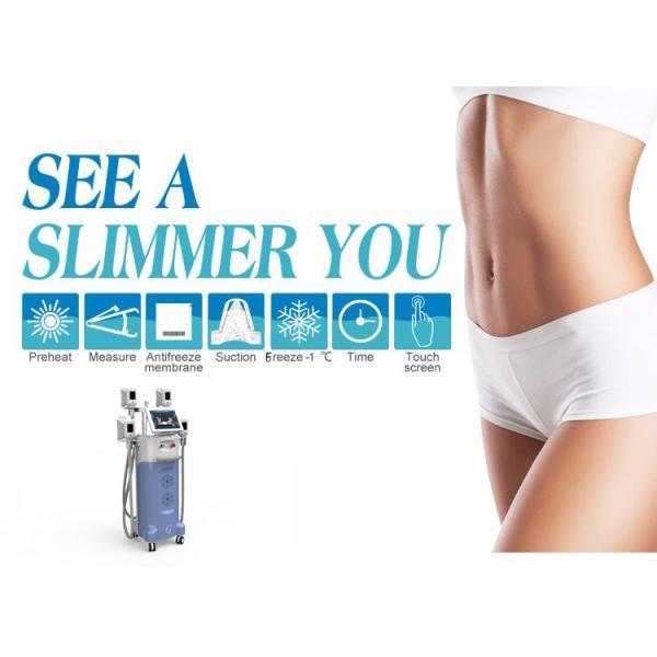 Fat freeze weight loss body sculpting portable cryolipolysis slimming slim machine