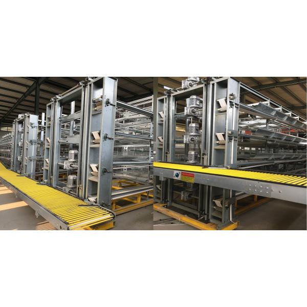 Утверждение системы SGS собрания яйца птицы 3PH 1mm горячее гальванизированное стальное