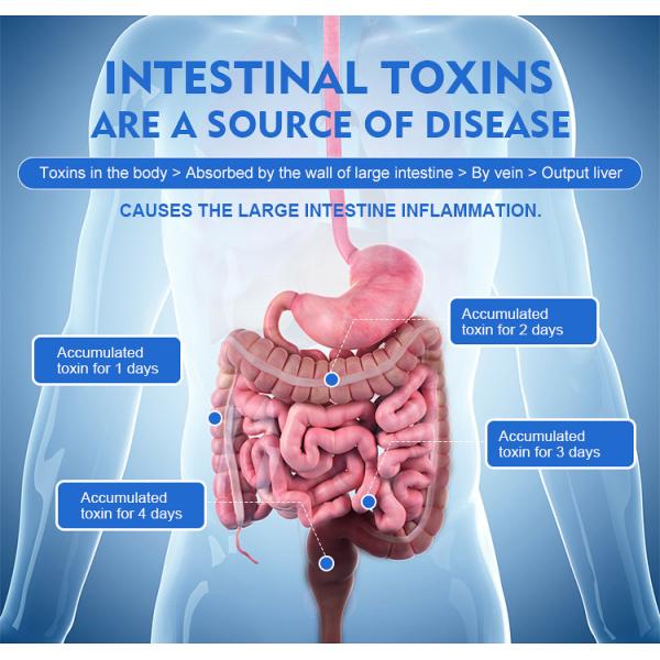 380v 220v Ems Body Sculpting Machine Supersonic Hydrotherapy Massage For Bowel Irrigation Device