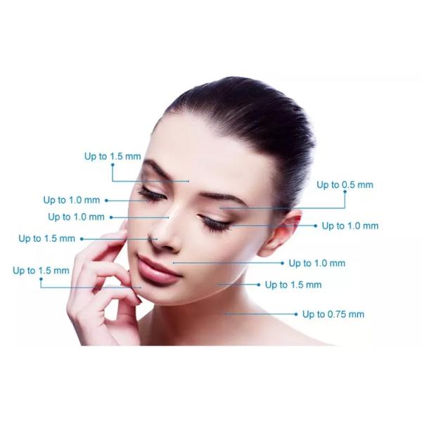 Stainless Steel/Titanium Microneedle Derma Roller 0.2-3.0mm for Skin Rejuvenation