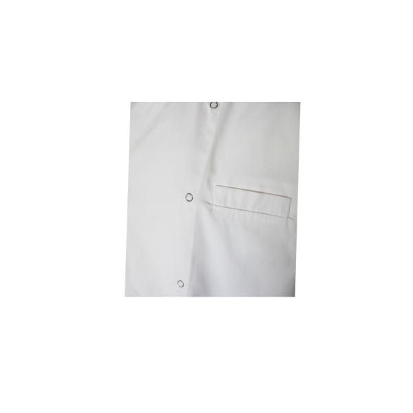 240 GSM 100% Cotton Chef Uniform Half Sleeve Coat White Wrinkle Free Anti Stain