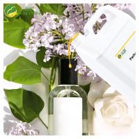 Perfume Oil Fragrance Original Oil Perfume para el cuerpo Spray Perfume de larga duración