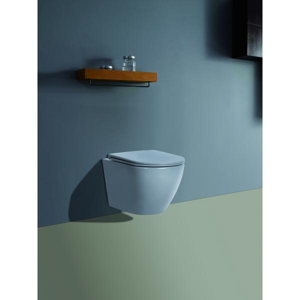 CE European Style Wall Mounted Concealed Tank D Shape Round Ceramic Wall Hung Toilet for Bathroom