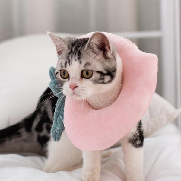 el embalaje del bolso de los 23cm los 26cm Opp anti lame gatos del cuello