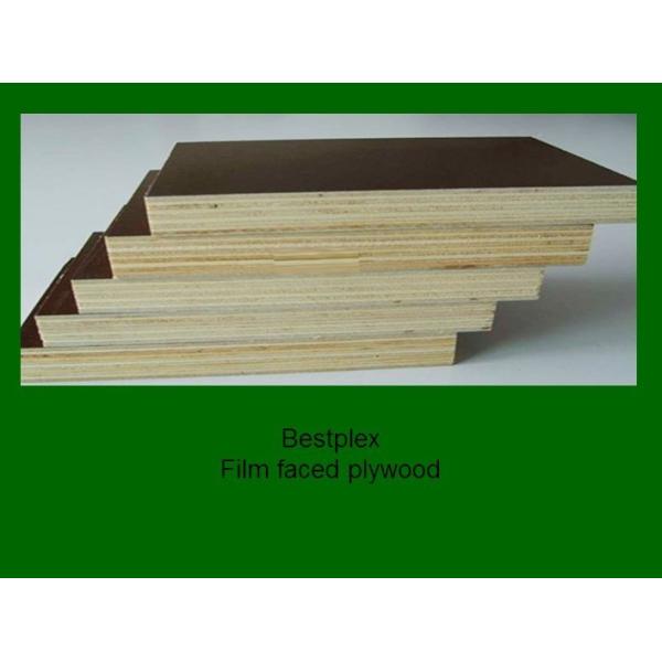18mm phenolic brown Film faced plywood