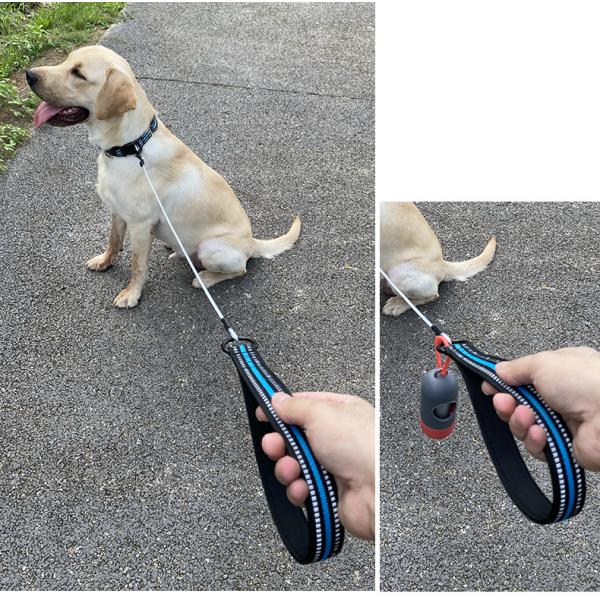 Comfortable Soft Padded 4FT Pet Leash Metal Anti Chew Leash Strong Anti Bite
