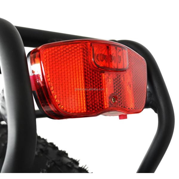 750W 50KM/H A2B CE Chinese OEM 48V Motor Fat Tire Electric Mountain Bicycle Good Nice