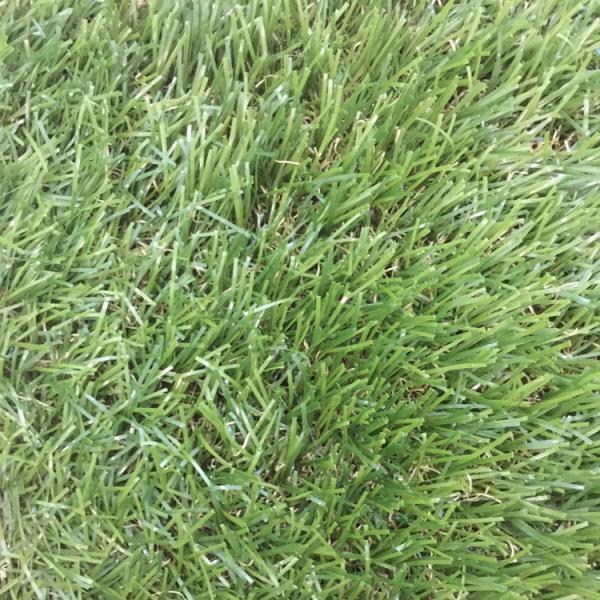 Fireproof Pet Friendly Fake Lawn / Artificial Outdoor Artificial Turf For Dogs