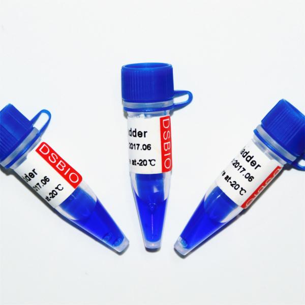 marcador M1151 do ADN da escada 200bp (50μg) /M1152 (5×50μg)