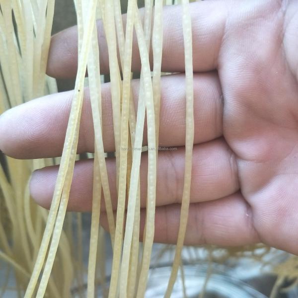 Multi Functional Automatic Pasta Maker , Industrial Noodle Making Machine