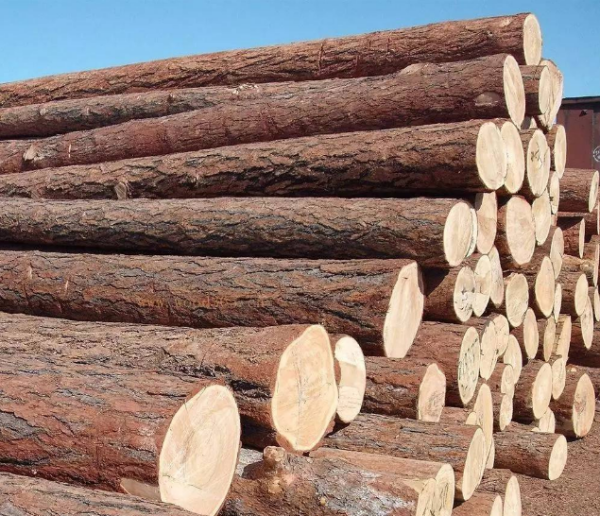 Traditional Luxury Cedar Wall-Mounted Rotating Sauna Sand 15 Minute Timer Choose Your Sand Colored White