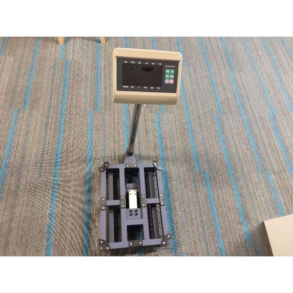 Platform Electronic Weighing Balance Economy Bench Scale 300kg