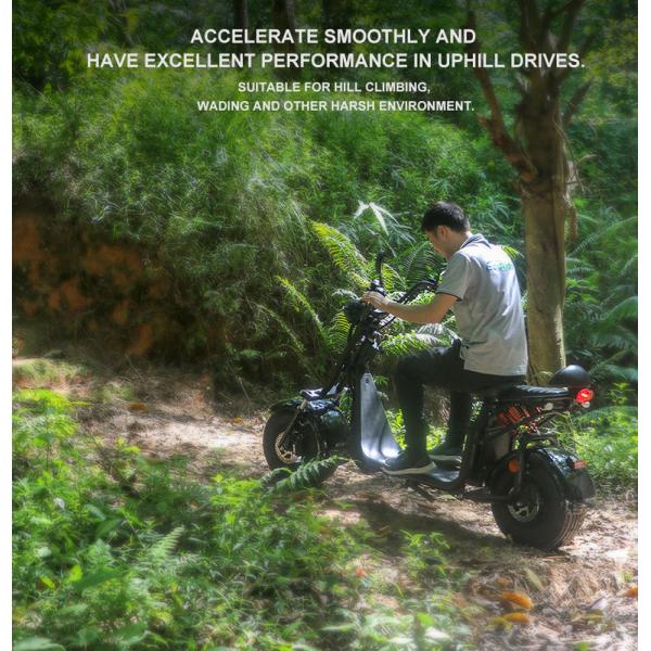 Ecorider 2 Wheel Electric Scooter 1500w EEC City Coco LED Turn Light With Fat Tire