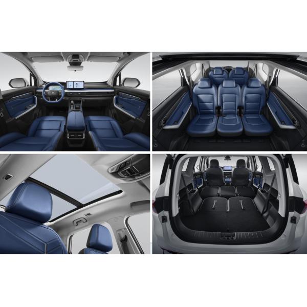 High performance Five-Door Six-Seat SUV Electric Car RL9 Super-Capacity Long-Range SUV