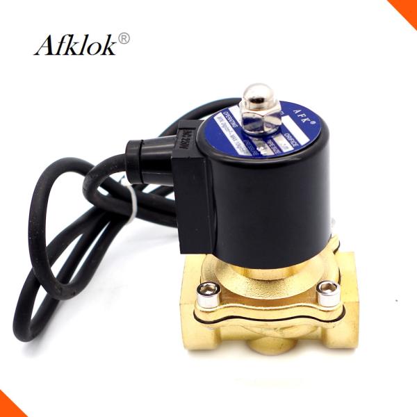 Electric Brass Underwater Valve , 3/4 Inch 220V Water Flow Valve With G Thread