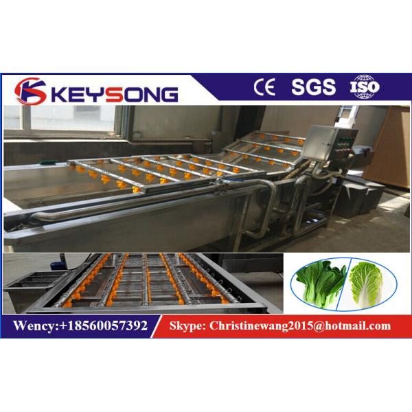 Strawberry Cherry Fruit Washing Machine , Carrot Commercial Vegetable Washer
