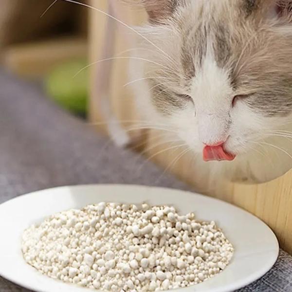 Longueur 3-15mm Granules avec Cassava Cat Litter clé pour nettoyer et frais à la maison