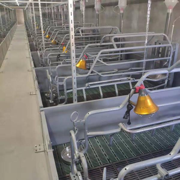 Caixa de parada da porca da espessura do equipamento 2.5mm do chiqueiro