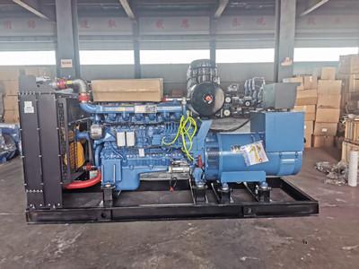 Marathon Alternator Power Diesel Generator Set AC Three Phase