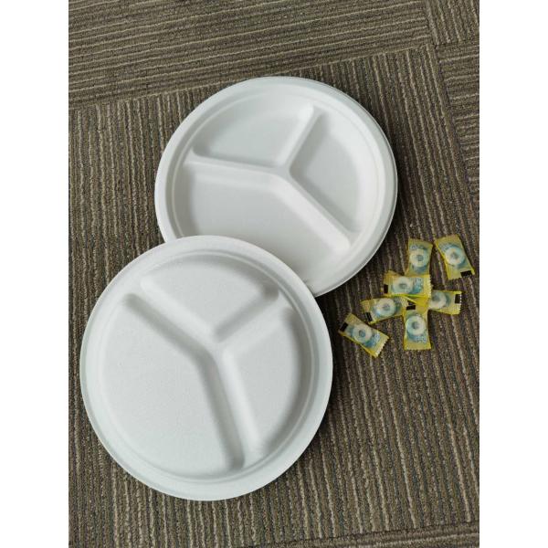 10inch disposable dinner compartment plates biodegradable sugarcane bagasse for restaurant and party use