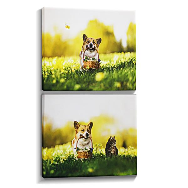 Upgrade Your Home Décor With IMATEC S Inkjet Polyester Canvas For Custom Framed Prints