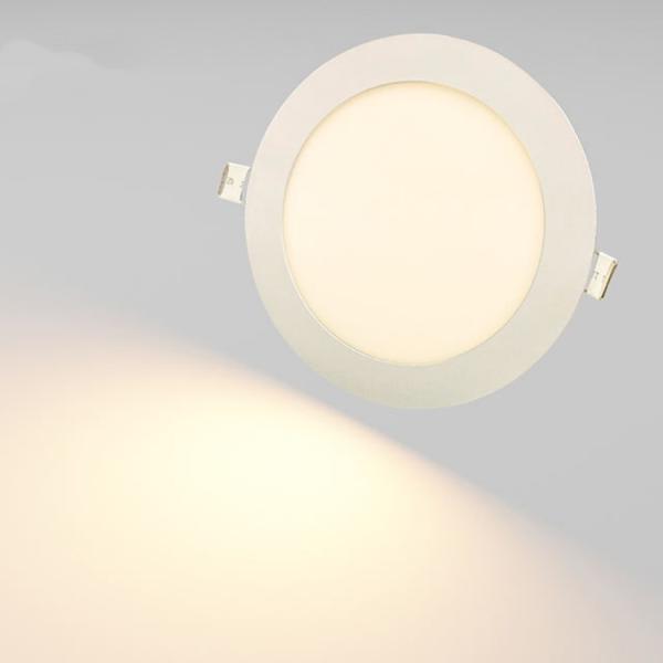 IP44 Dustproof LED Round Panel Light With 12V DC, 24V DC Triac Dimmable Or 0-10V Dimmable