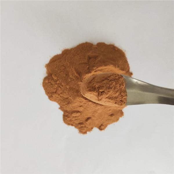 jujube fruit powder buy best health benefits supplement products drink freeze dried blackcurrant powder