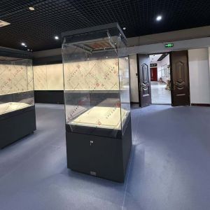 Practical Glass Museum Display Cabinet Museum Exhibit Cases With Humidity