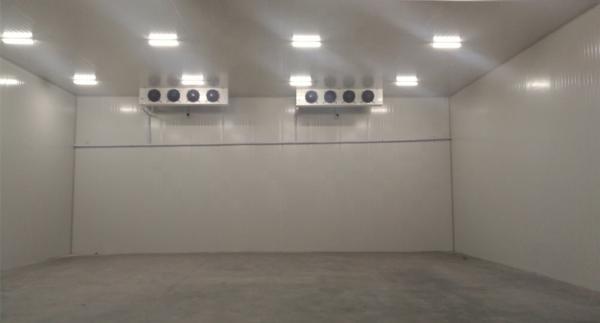 Large Energy-saving Cold room for Medicines, Reagents, Vaccines