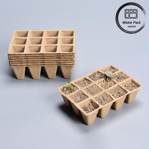 10 & 12 Cell Biodegradable Seed Starter Trays for Efficient Nursery Plant Growth