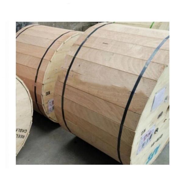 100 N/100mm FTTH Indoor 1 Core G657A1 G657A2 GJXFH GJFJ8v/H Drop Cable Fiber Optic Cable