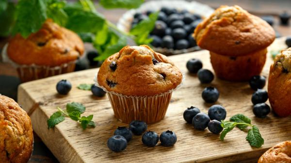 Food ingredients supplier -Glycerol monostearate GMS99 powder - for bread, cake, confectionery products