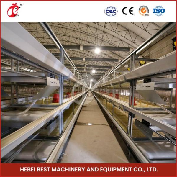 Hot Galvanized Broiler Transport Cage Silver Color Durable Reliable Mia