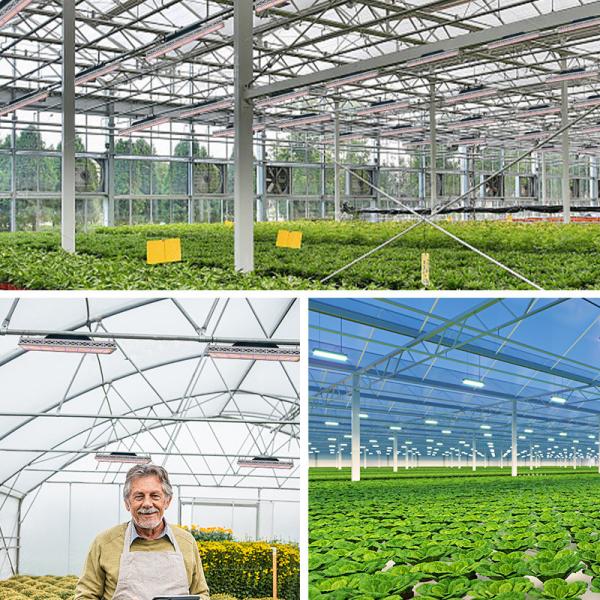 Soccer Field Sports Top LED Grow Lights Customized 640W LED Grow Light Waterproof IP67