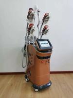 Instrumento do salão de beleza da cavitação do vácuo do RF da máquina do emagrecimento de 360 Cryolipolysis