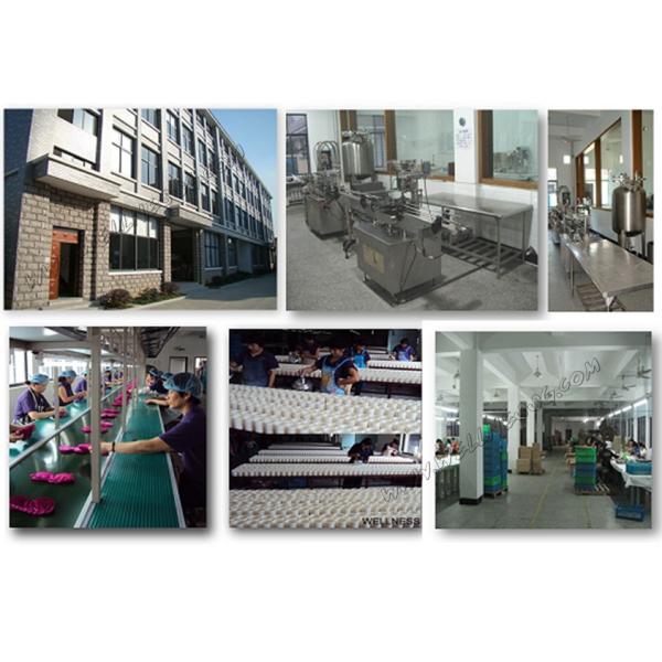 Shanghai Wellness Crafts Co,. Ltd.