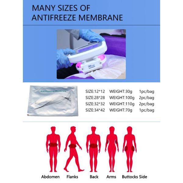 home use portable cryolipolysis device/cryolipolysis machine/cryolipolysis fat reduce machine LF-213