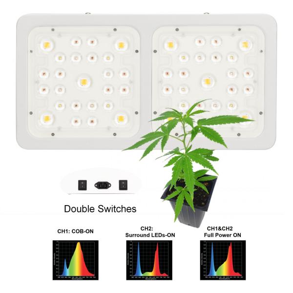 Commercial Vegetable Led Grow Lights Used In Cannabis Chamber 50/60Hz
