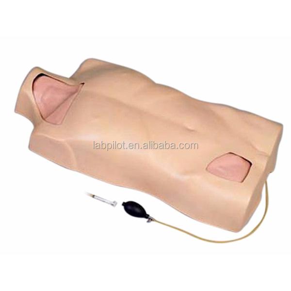 Multiple Veins Puncture Training Simulator Central Venous Catheterization Torso Model