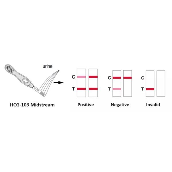 99% Urine Pregnancy Test Strip Ovulation Household Medical Supplies Chromatographic Immunoassay